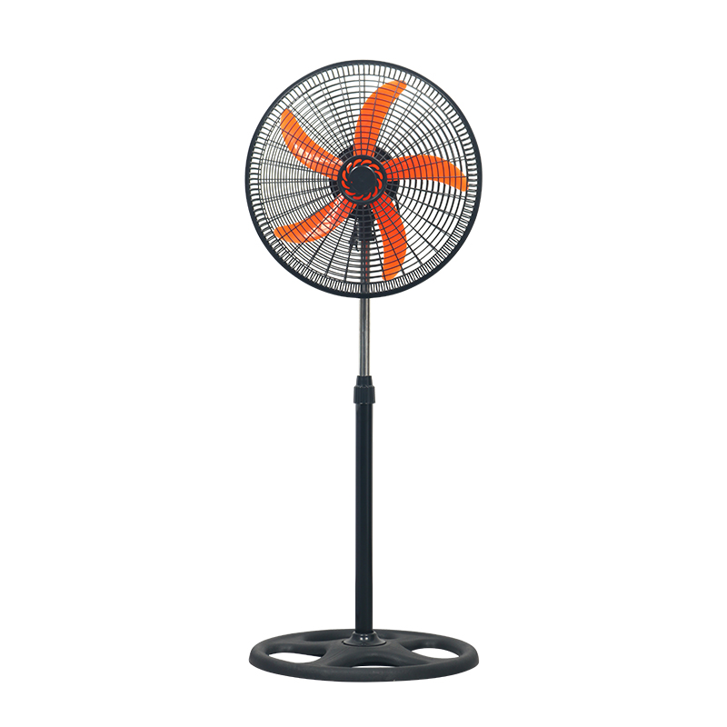 FAN