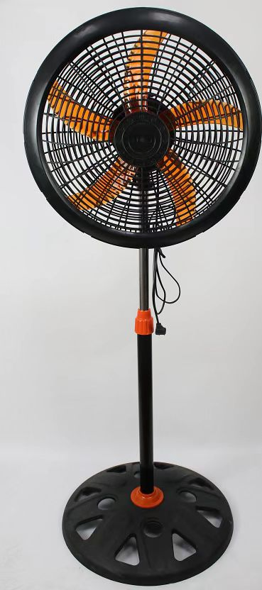 Fan 