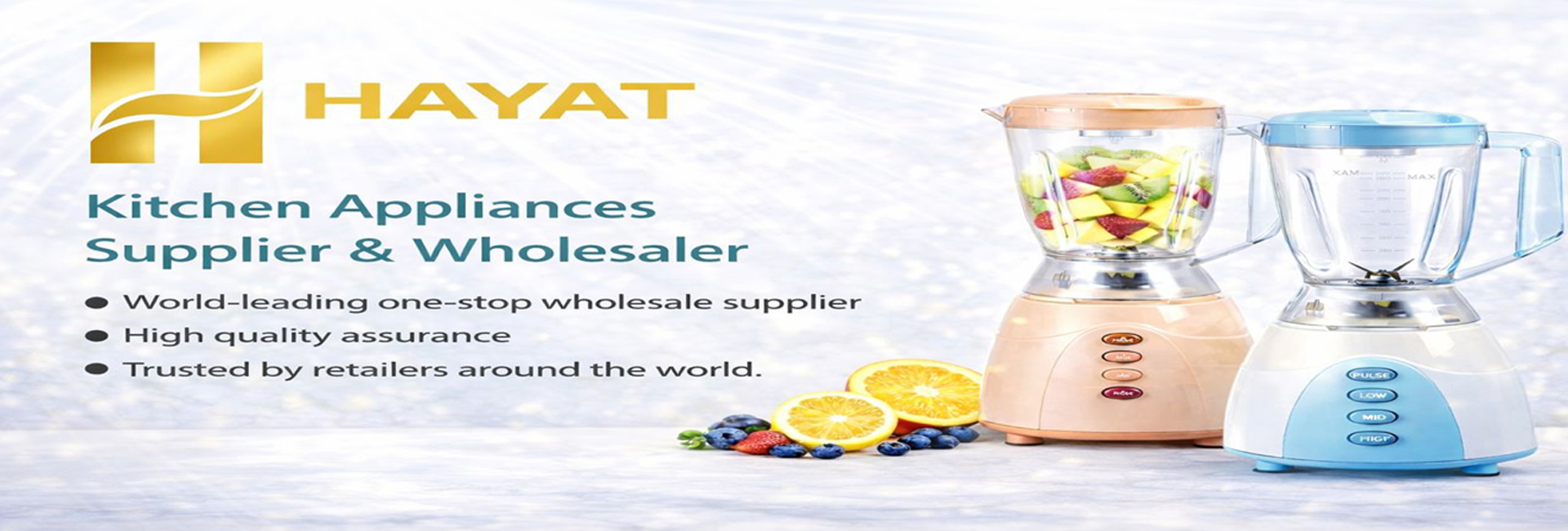 Hayat Lifestyle Slide 5